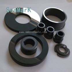 Pump ceramic seal ring