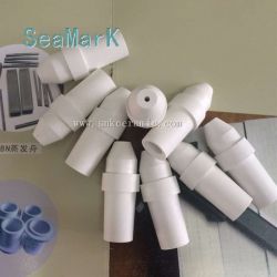 Boron nitride Ceramic nozzle